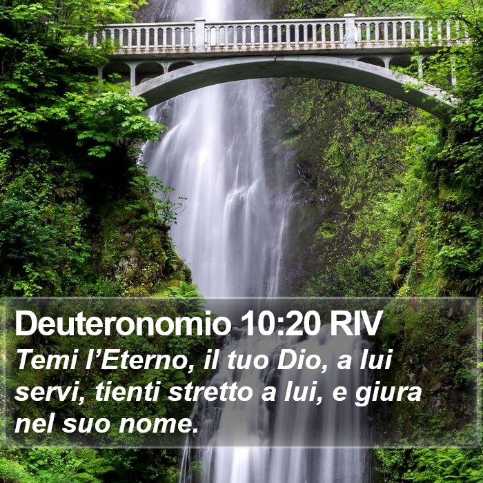 Deuteronomio 10:20 RIV Bible Study