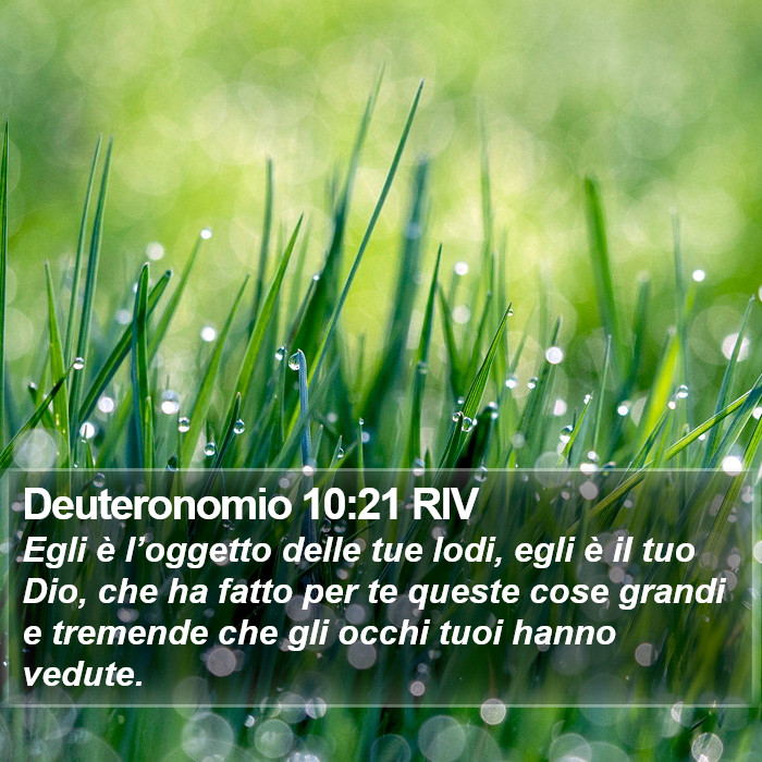 Deuteronomio 10:21 RIV Bible Study