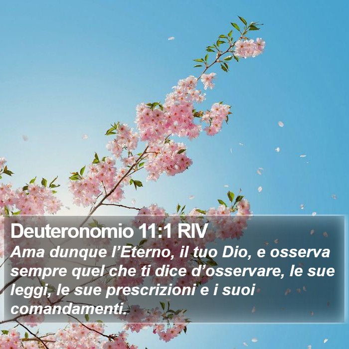 Deuteronomio 11:1 RIV Bible Study