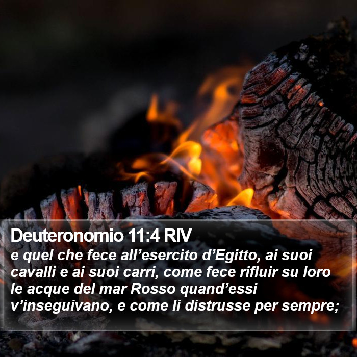 Deuteronomio 11:4 RIV Bible Study