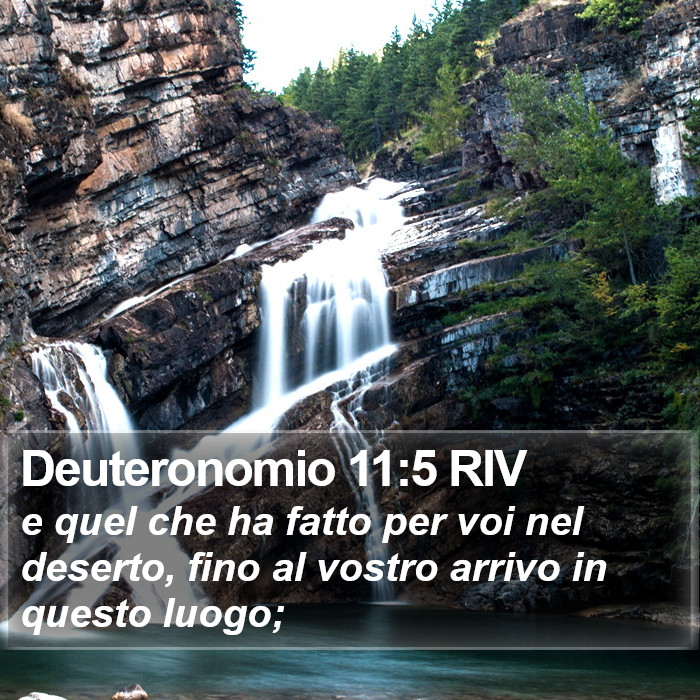 Deuteronomio 11:5 RIV Bible Study