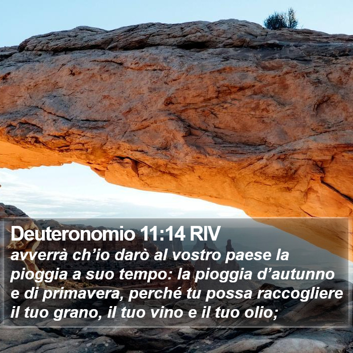 Deuteronomio 11:14 RIV Bible Study