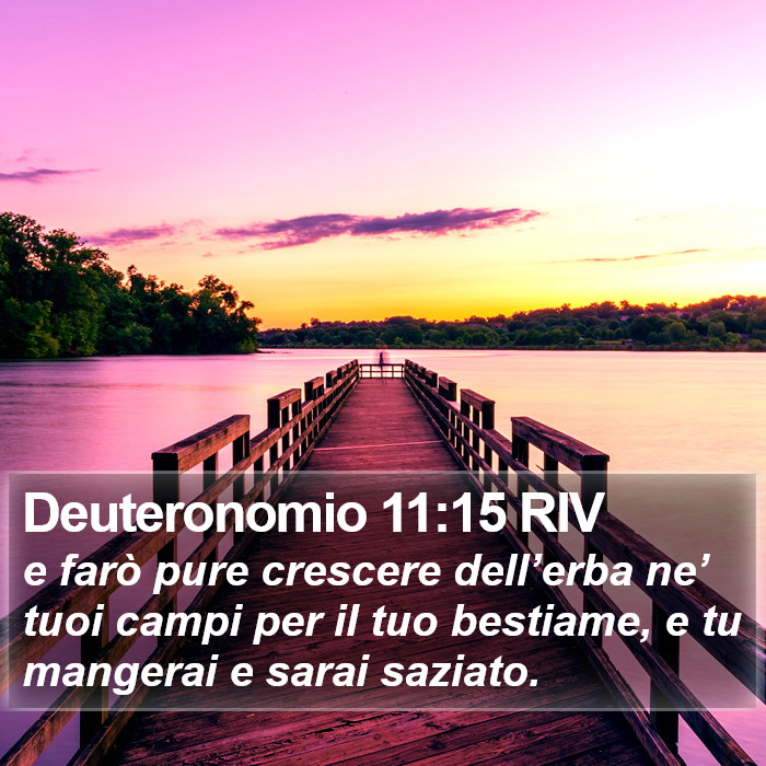 Deuteronomio 11:15 RIV Bible Study