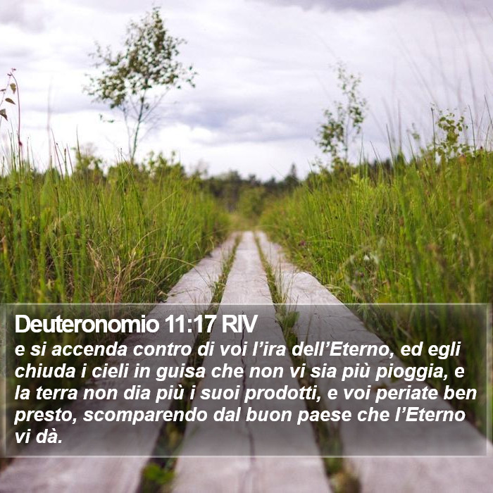 Deuteronomio 11:17 RIV Bible Study