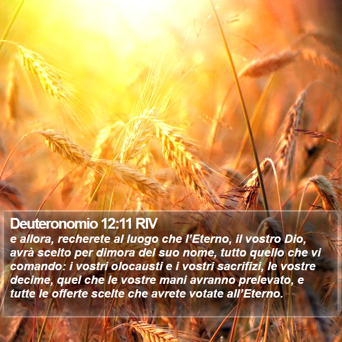 Deuteronomio 12:11 RIV Bible Study