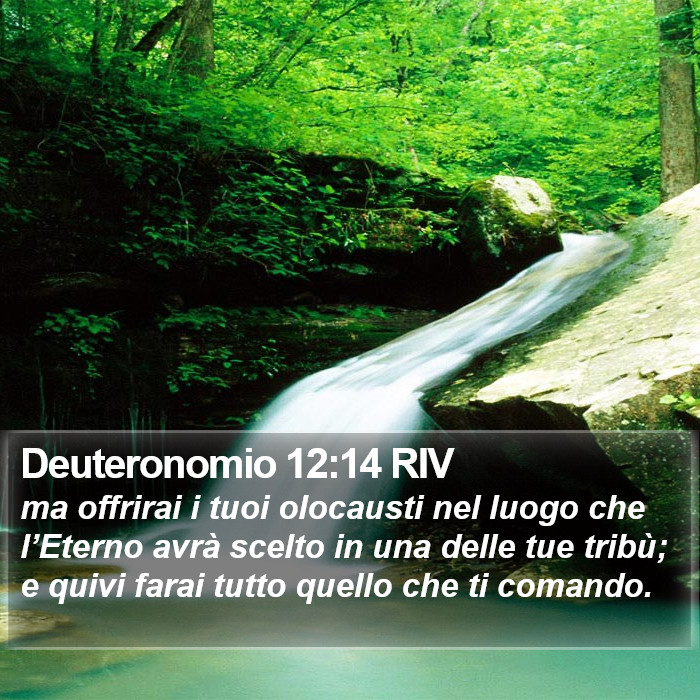 Deuteronomio 12:14 RIV Bible Study