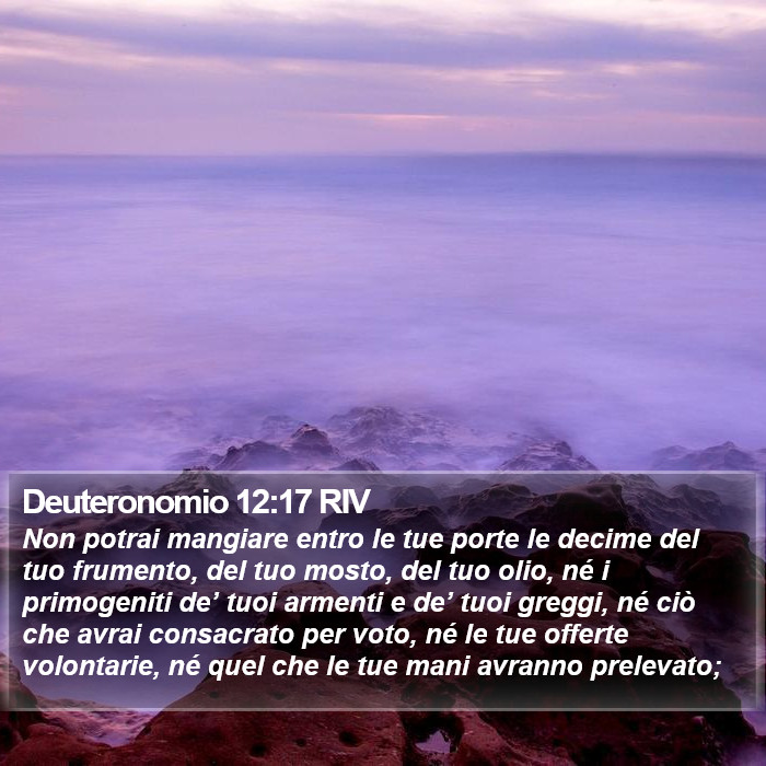 Deuteronomio 12:17 RIV Bible Study