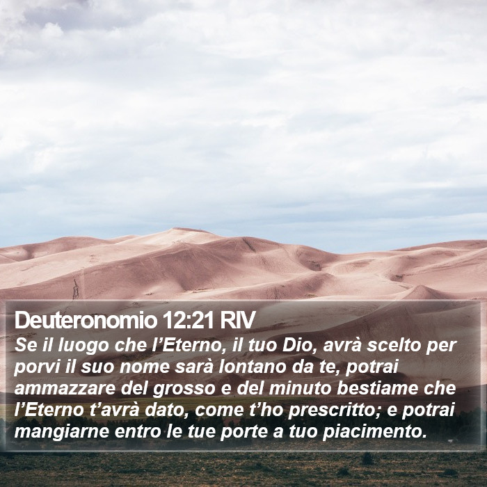 Deuteronomio 12:21 RIV Bible Study