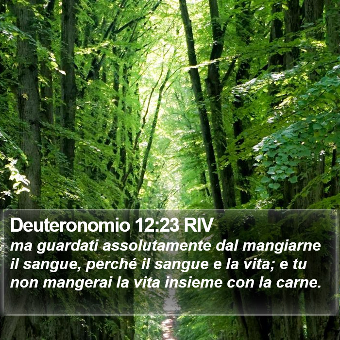 Deuteronomio 12:23 RIV Bible Study