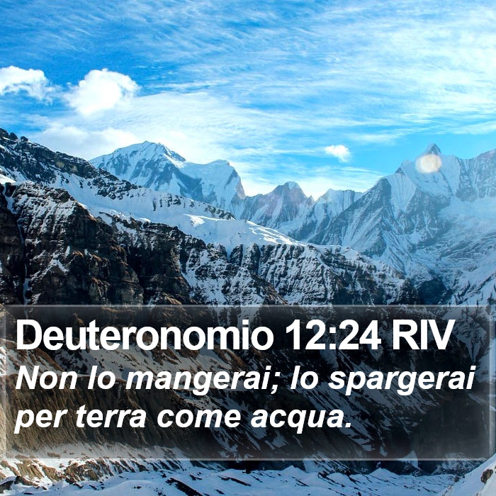 Deuteronomio 12:24 RIV Bible Study