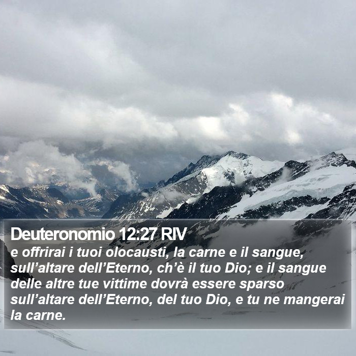 Deuteronomio 12:27 RIV Bible Study