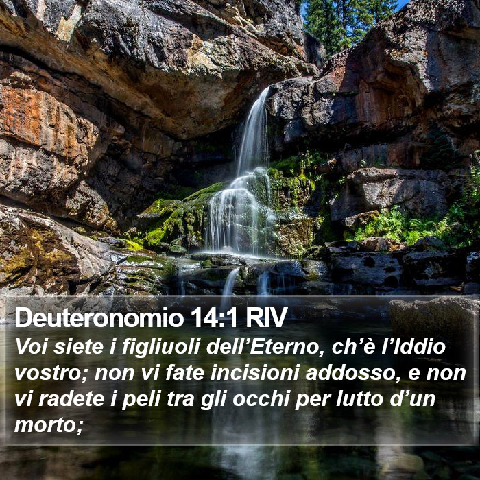 Deuteronomio 14:1 RIV Bible Study
