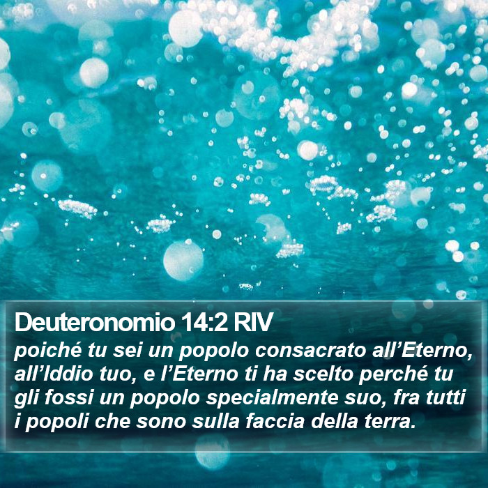 Deuteronomio 14:2 RIV Bible Study