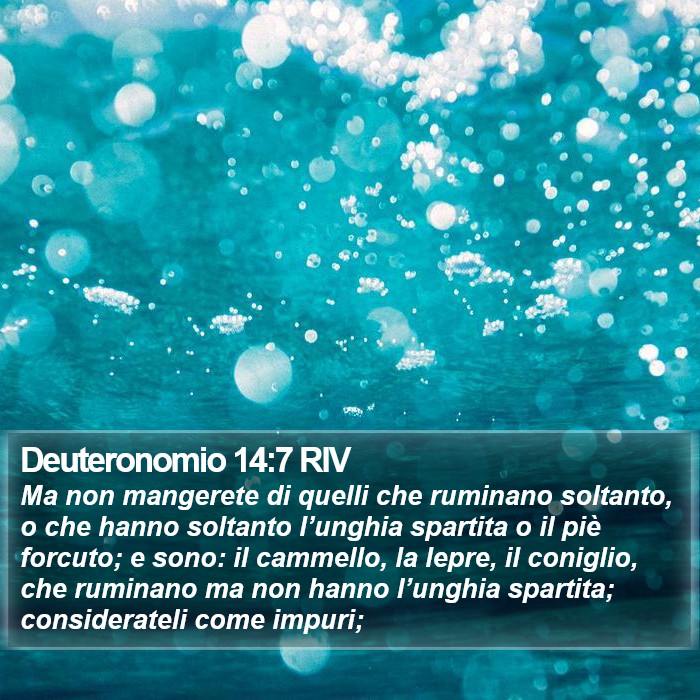 Deuteronomio 14:7 RIV Bible Study