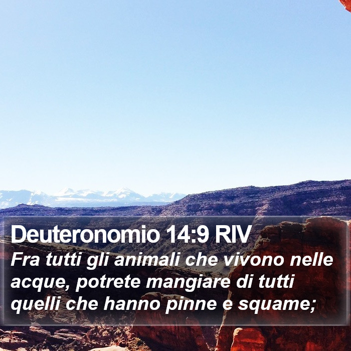 Deuteronomio 14:9 RIV Bible Study