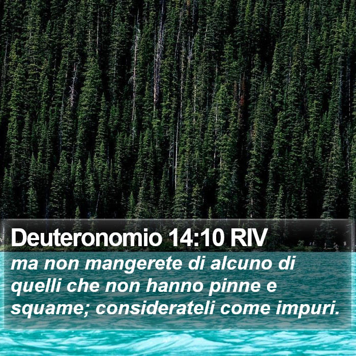 Deuteronomio 14:10 RIV Bible Study