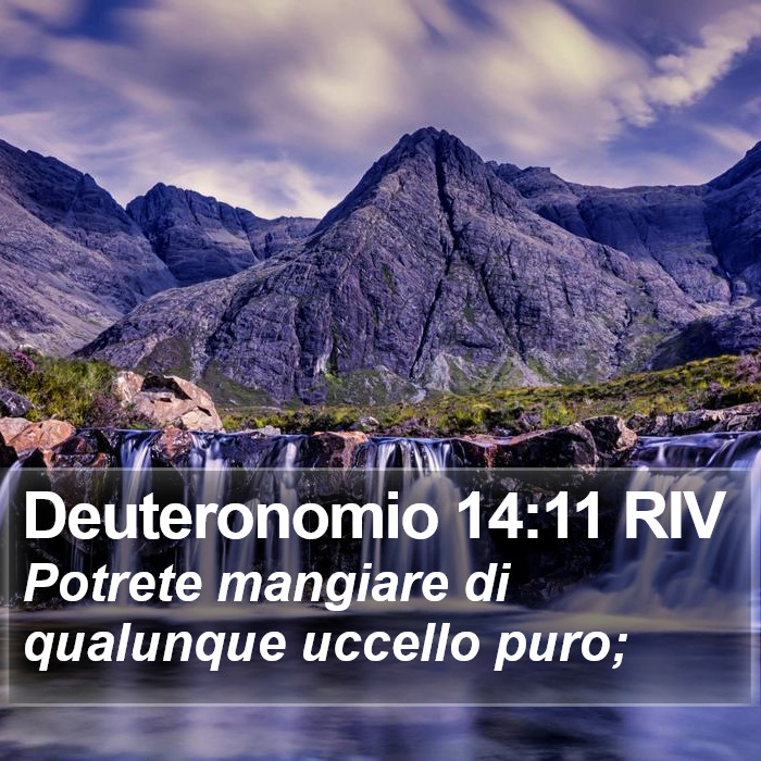 Deuteronomio 14:11 RIV Bible Study