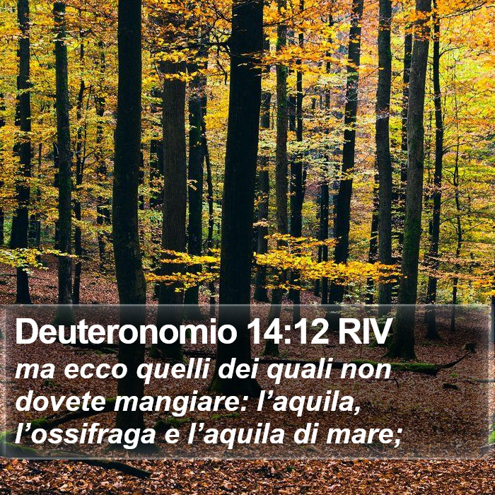 Deuteronomio 14:12 RIV Bible Study