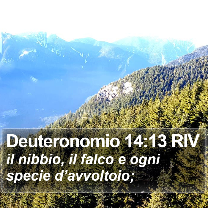 Deuteronomio 14:13 RIV Bible Study