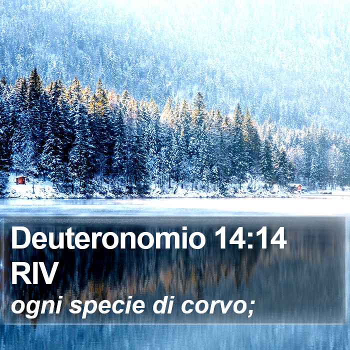 Deuteronomio 14:14 RIV Bible Study