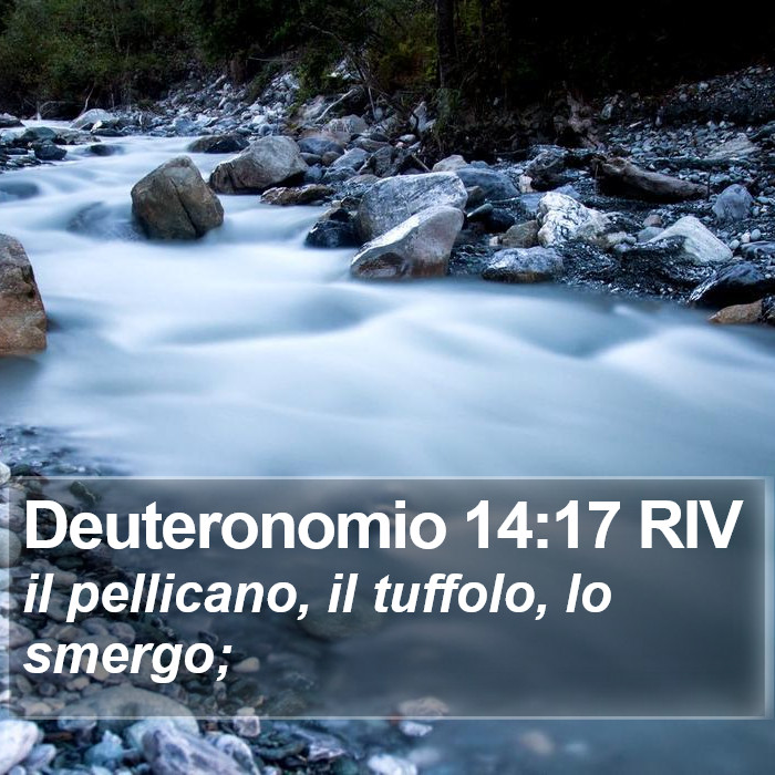 Deuteronomio 14:17 RIV Bible Study