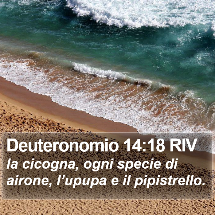 Deuteronomio 14:18 RIV Bible Study