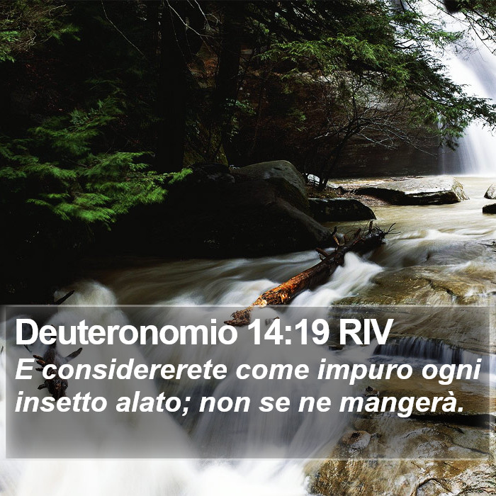 Deuteronomio 14:19 RIV Bible Study