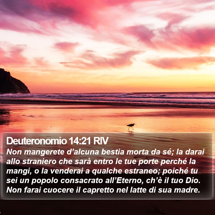 Deuteronomio 14:21 RIV Bible Study
