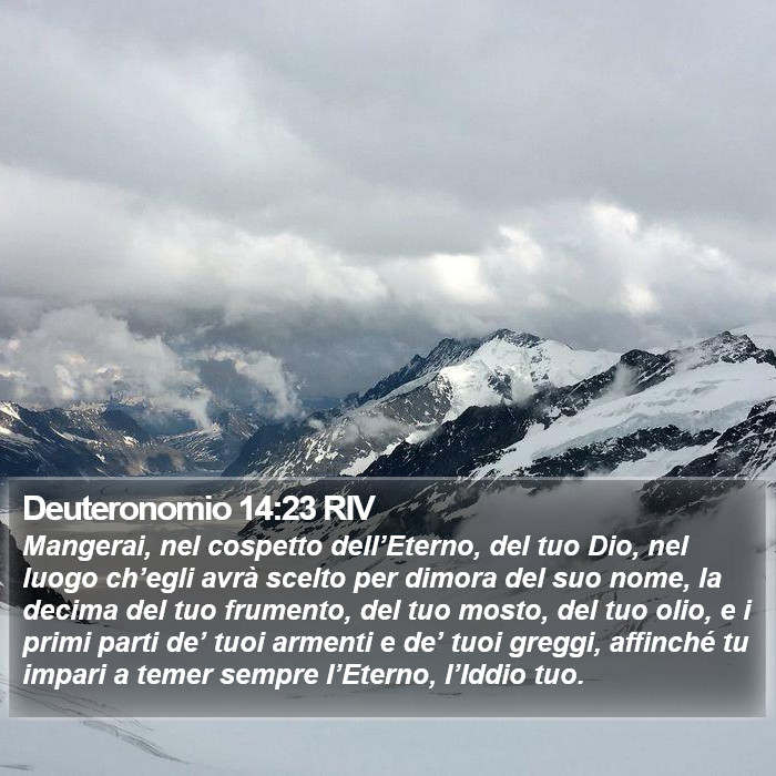 Deuteronomio 14:23 RIV Bible Study