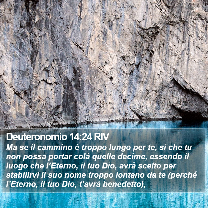 Deuteronomio 14:24 RIV Bible Study