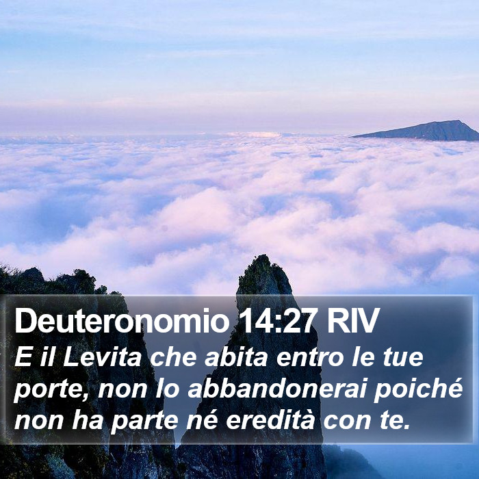 Deuteronomio 14:27 RIV Bible Study