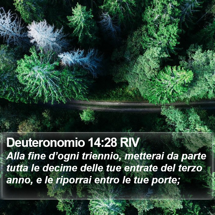 Deuteronomio 14:28 RIV Bible Study