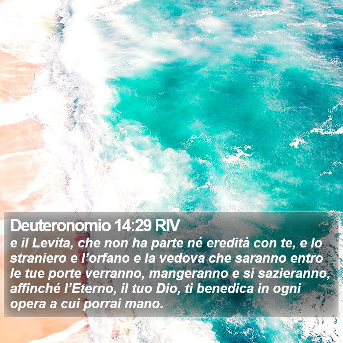 Deuteronomio 14:29 RIV Bible Study