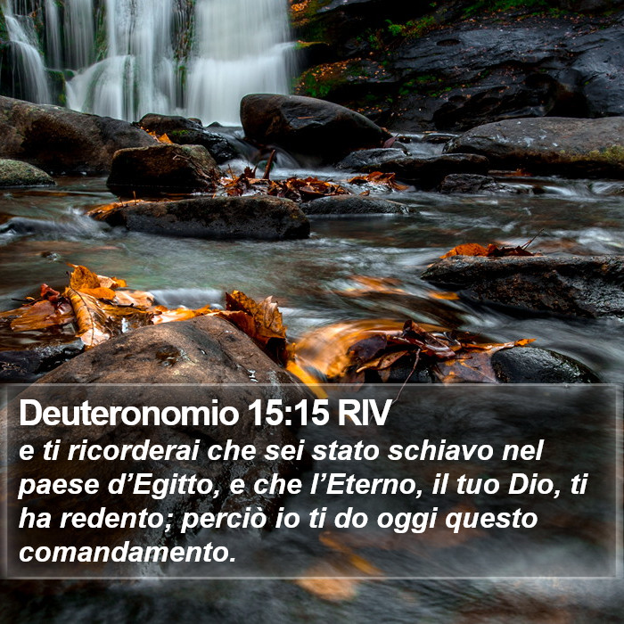 Deuteronomio 15:15 RIV Bible Study