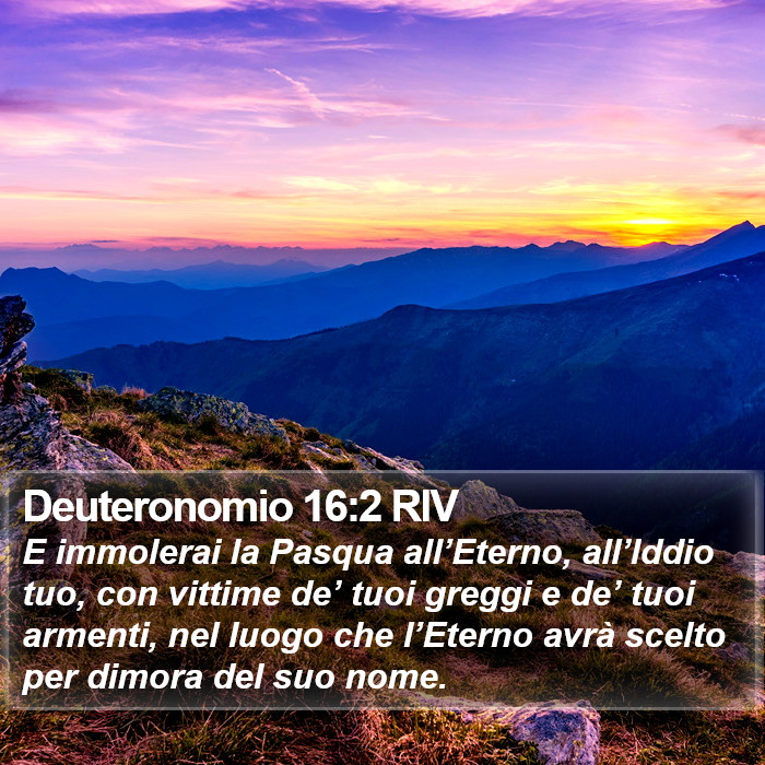 Deuteronomio 16:2 RIV Bible Study