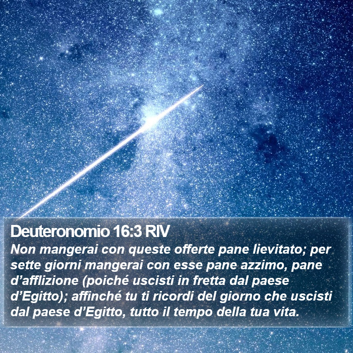Deuteronomio 16:3 RIV Bible Study
