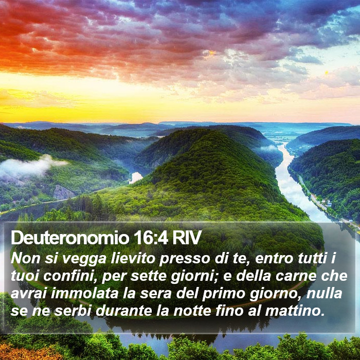 Deuteronomio 16:4 RIV Bible Study