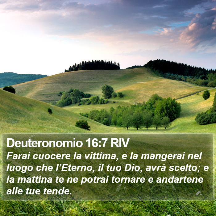 Deuteronomio 16:7 RIV Bible Study