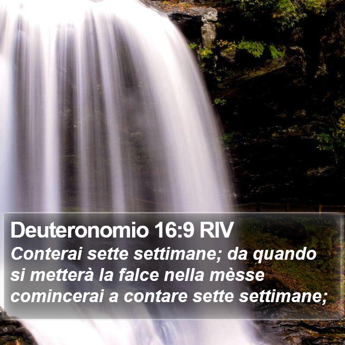 Deuteronomio 16:9 RIV Bible Study