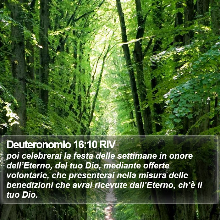 Deuteronomio 16:10 RIV Bible Study