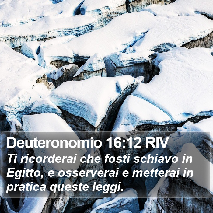 Deuteronomio 16:12 RIV Bible Study