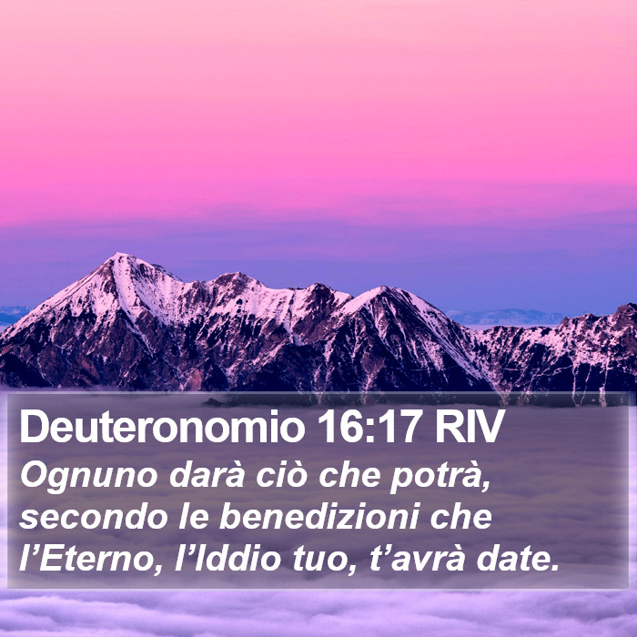 Deuteronomio 16:17 RIV Bible Study