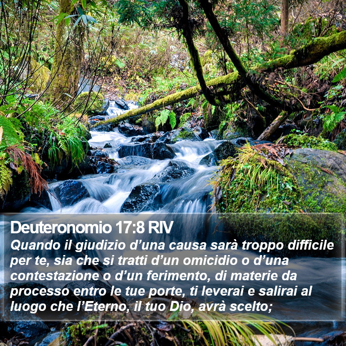 Deuteronomio 17:8 RIV Bible Study