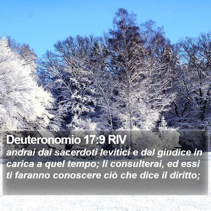 Deuteronomio 17:9 RIV Bible Study