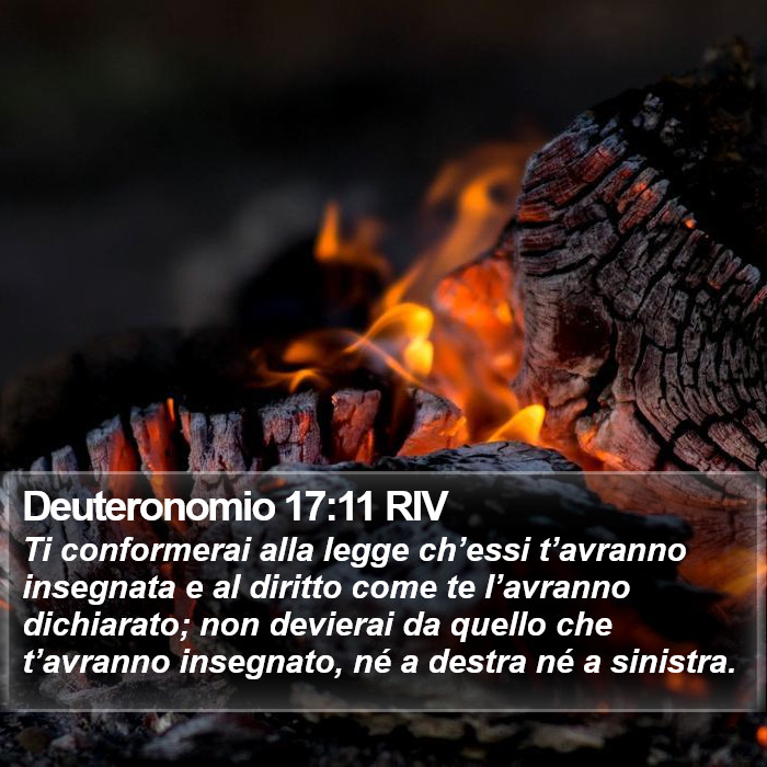 Deuteronomio 17:11 RIV Bible Study