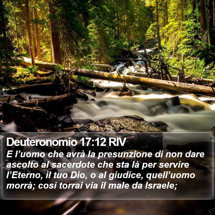 Deuteronomio 17:12 RIV Bible Study