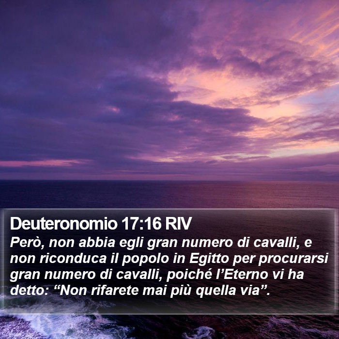 Deuteronomio 17:16 RIV Bible Study