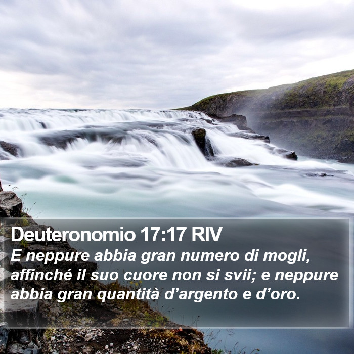 Deuteronomio 17:17 RIV Bible Study