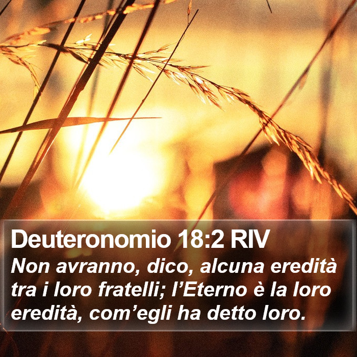 Deuteronomio 18:2 RIV Bible Study