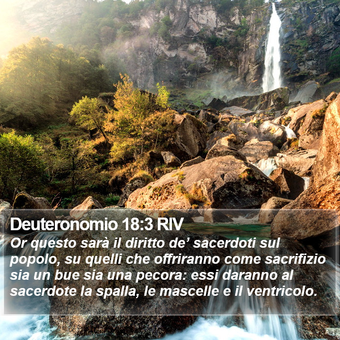 Deuteronomio 18:3 RIV Bible Study